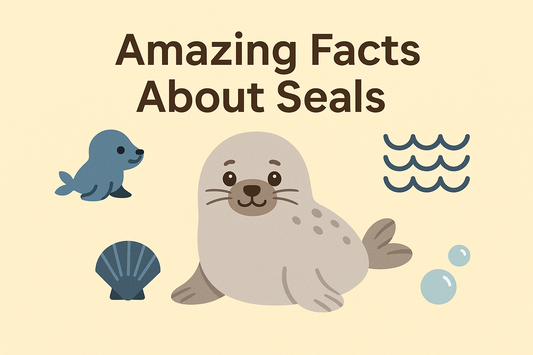 Seal-iously Fascinating! Dive into the World of Seals