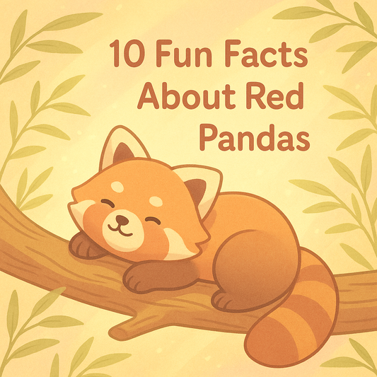 10 Fun Facts About Red Pandas – Nature’s Cutest Climbers