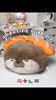 Duoai Original Sushi Otter Plush Toy – 15.7" Snuggle Buddy Gift Duoai Plush