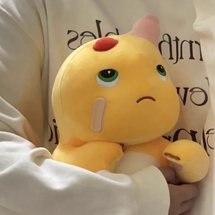 🥺 NAILONG Not-So-Tough Dragon Plush – 15.7" Embroidered Sad Face Stuffed Toy, Cute & Huggable Dino Gift Duoai Plush