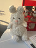 Duoai Lazy Friends Plush – Bear, Koala & Bunny Soft Toys (9" & 13.8") Duoai Plush