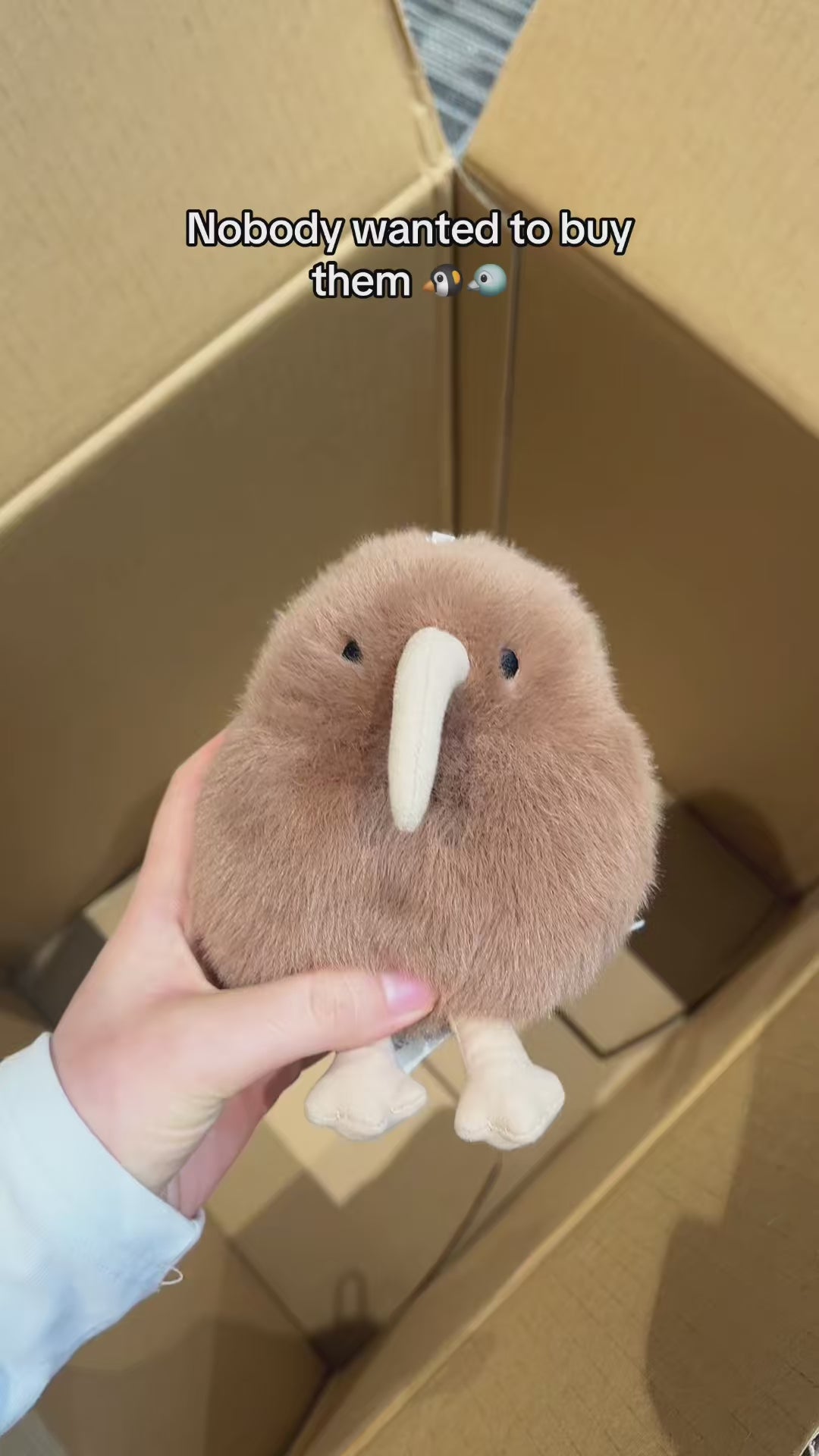 Duoai Original Kiwi Bird Plush Toy – Soft & Realistic Stuffed Animal in 4 Sizes